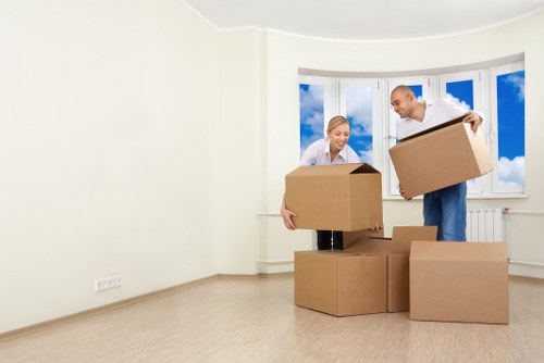 Comparison of different removal quotes from various companies